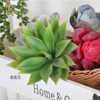 uploads/erp/collection/images/Home Garden/CongDing/XU0611964/img_b/XU0611964_img_b_2